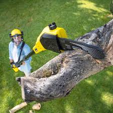 Best Pest Control for Lawns  in Muskogee, OK